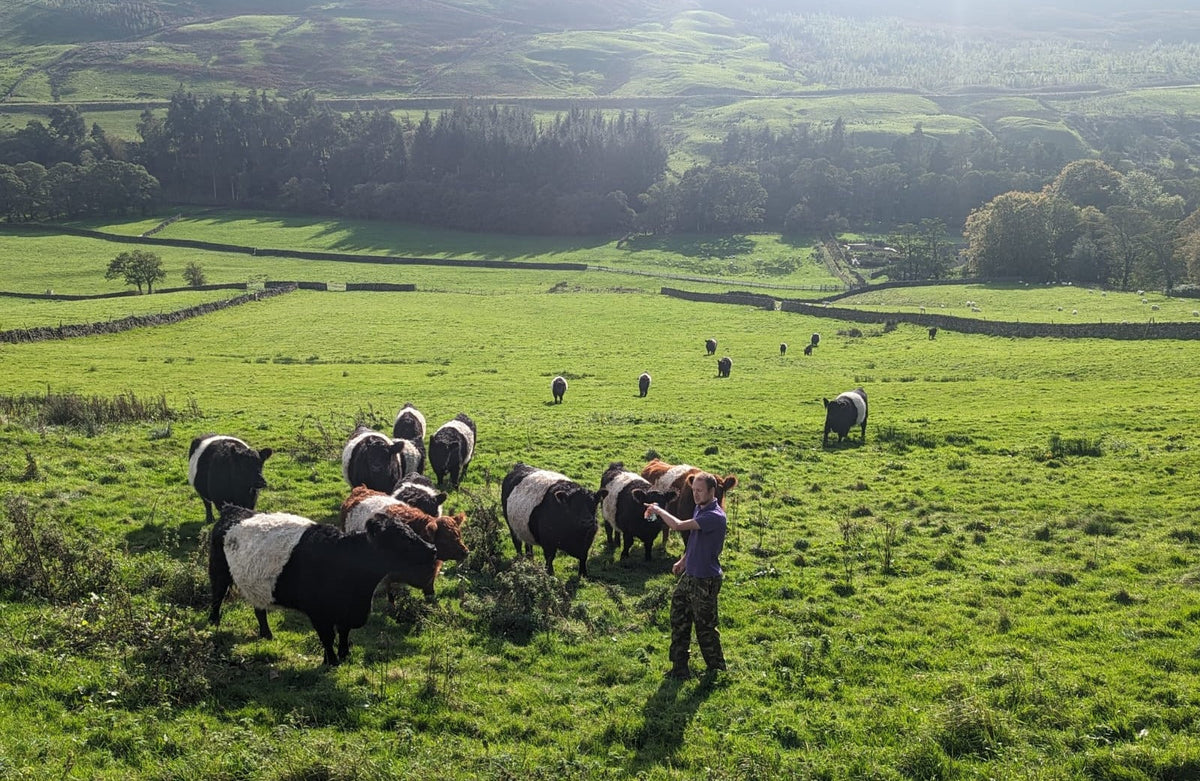 Celebrating Great British Beef Week