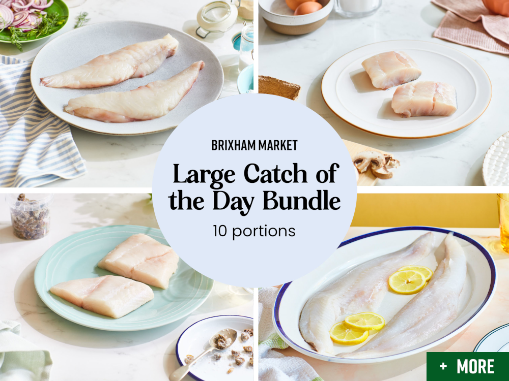 Brixham Market Large Catch of the Day Bundle (10 Portions)