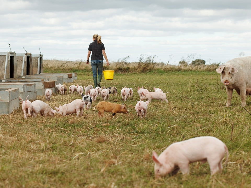 supporting british farmers