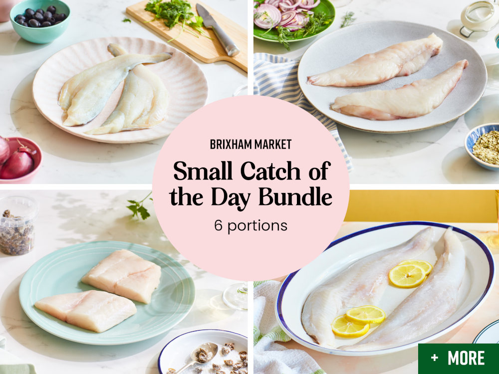 Brixham Market Small Catch of the Day Bundle (6 Portions)
