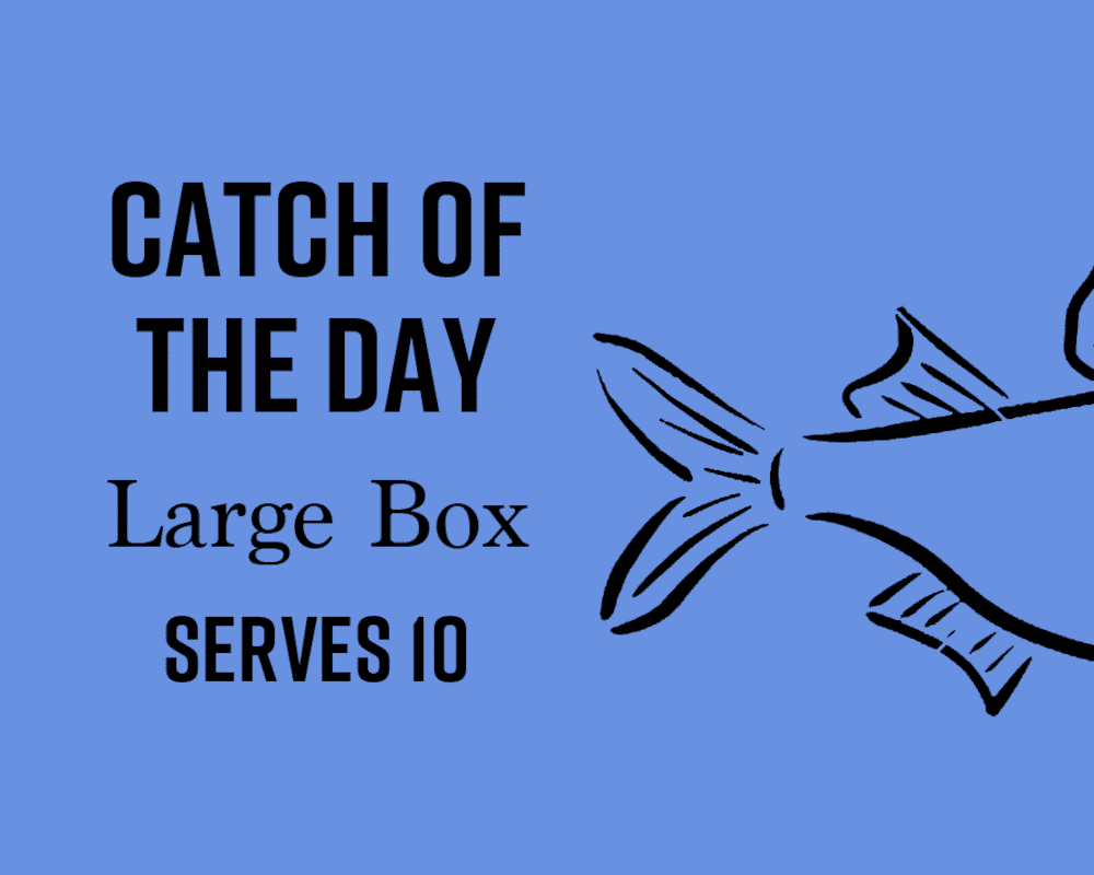 Large Catch of the Day